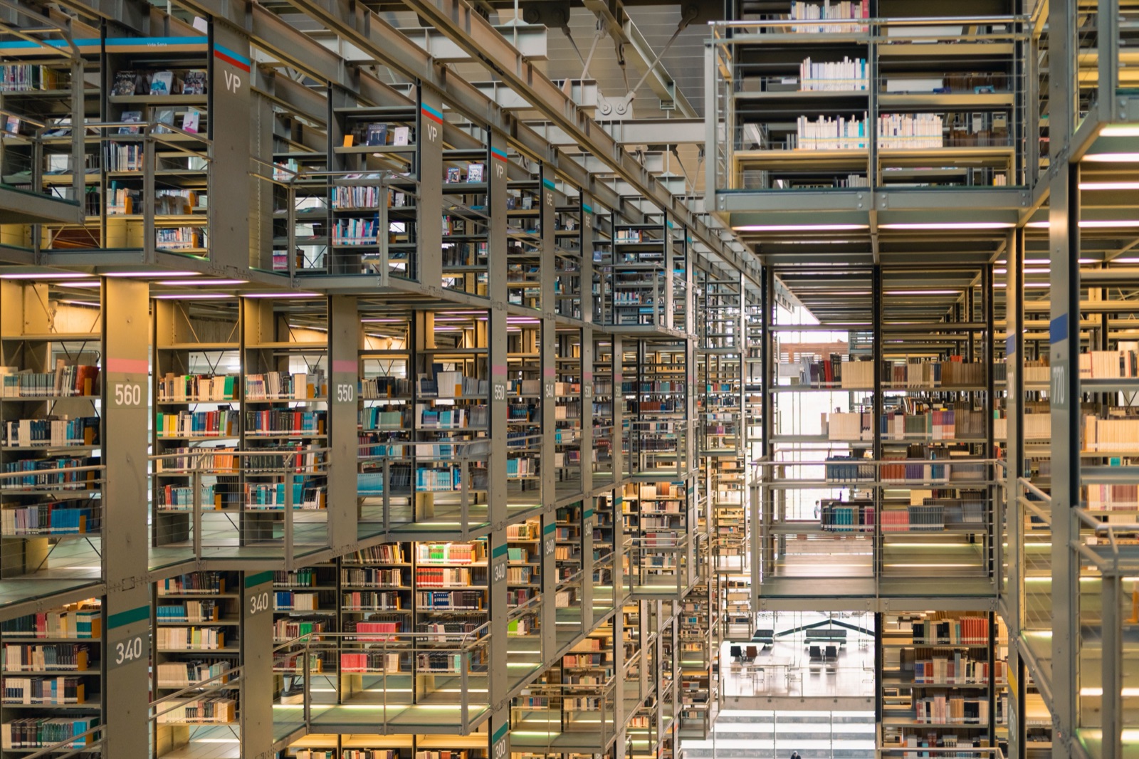 Why Every Brand Needs a Content Library in 2026